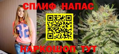 СК Лесосибирск