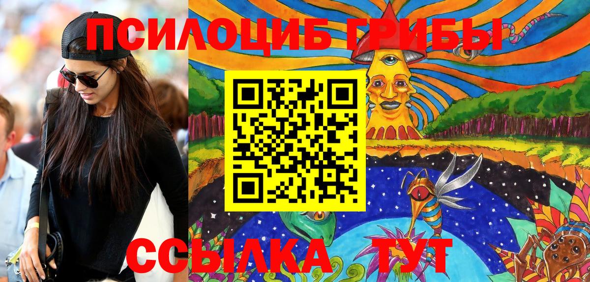 Галлюциногенные грибы Psilocybe  Вход с VPN  где найти наркотики  Хабаровск 